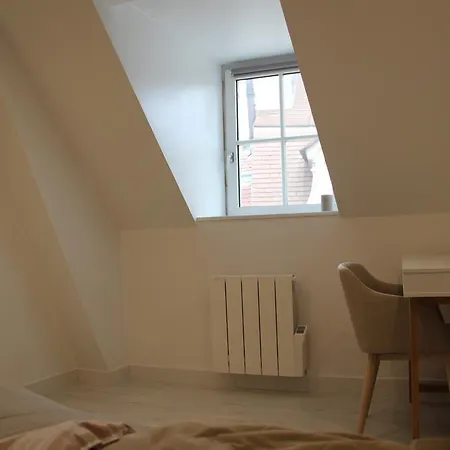 L'amiral Sous Les Toits Apartman Dijon