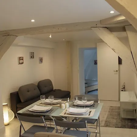 L'amiral Sous Les Toits Apartment Dijon